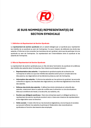 Représentant de section syndical